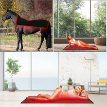 BB1260 Red Light Therapy Mat- 1260pcs LEDs Near-Infrared Light Therapy for Full Body, 660nm Red Light and 850nm Infrared Light for Back Pain